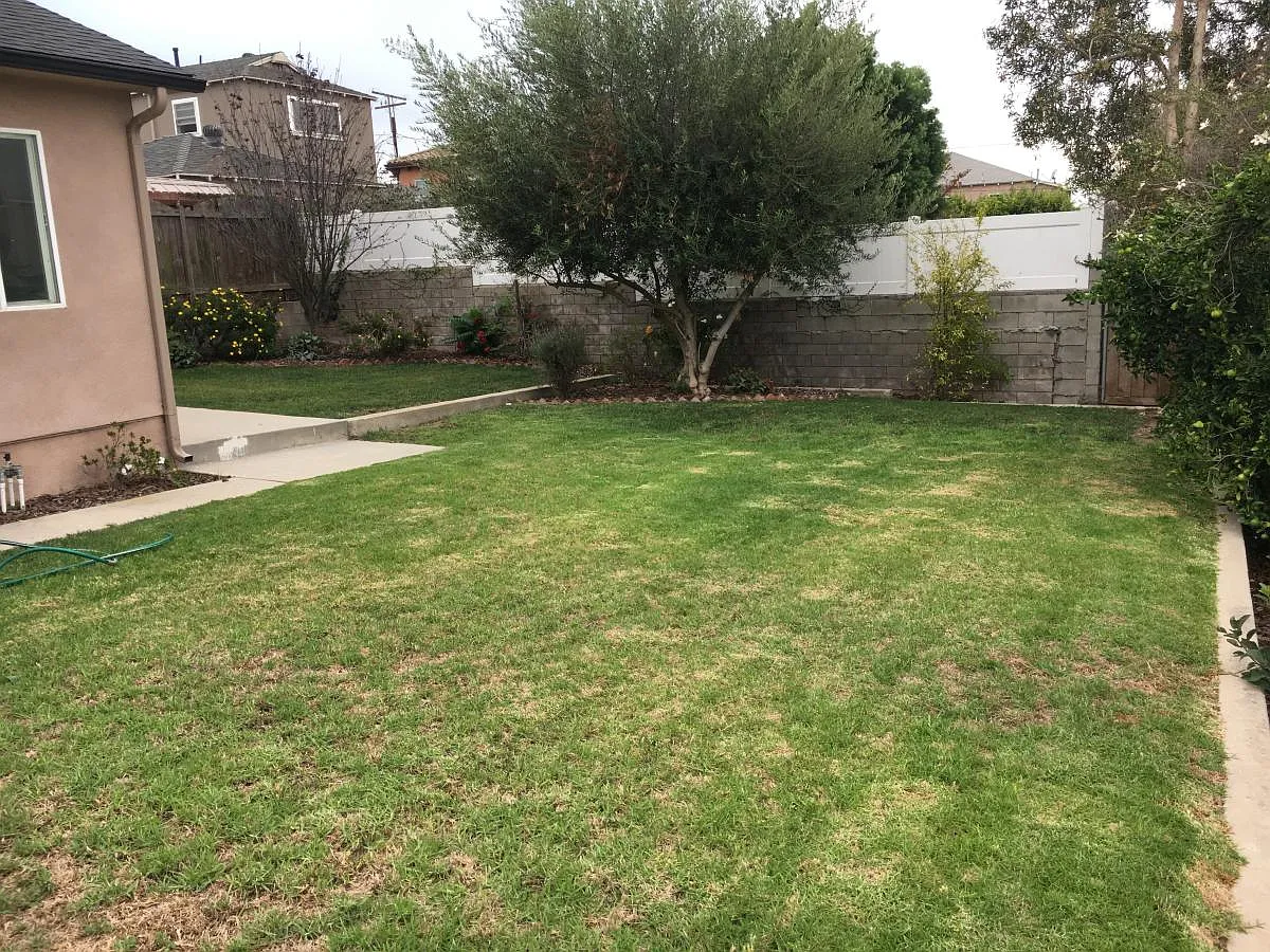 2 bed, 1000 sqft, $4,500 — Photo 3