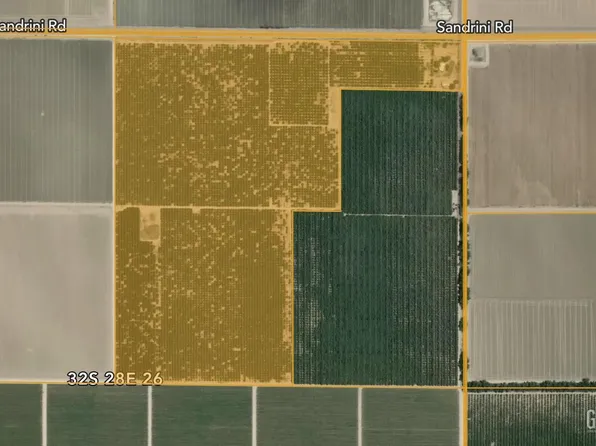 Citrus, Arvin, CA 93203