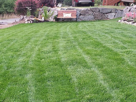 Front landscape
