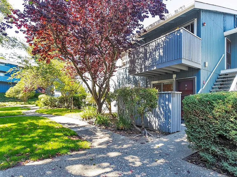 415 Piccadilly Pl #3 — Photo 1