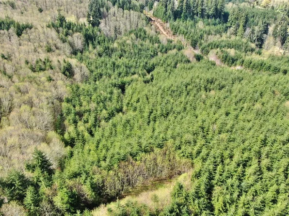 0 Off of State Route 107, Montesano, WA 98563