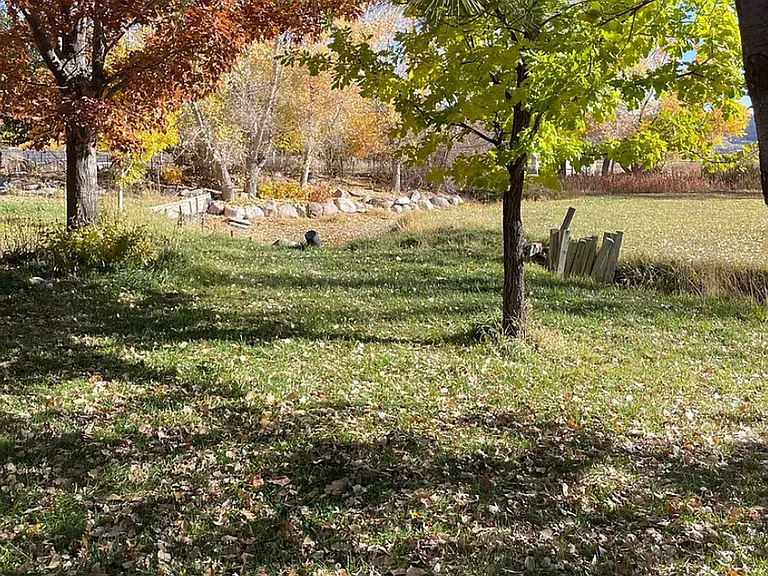 277 Animas River Rd — Photo 11