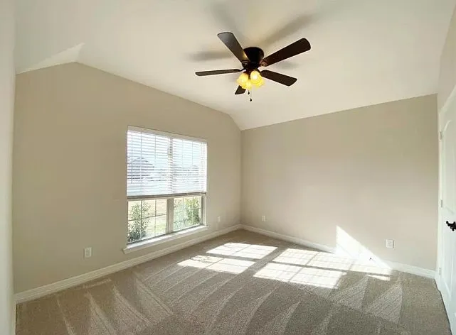 126 Frank St — Photo 17