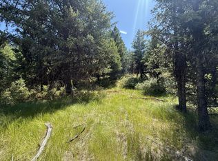 135 Slippery Hill Ln, Republic, WA 99166