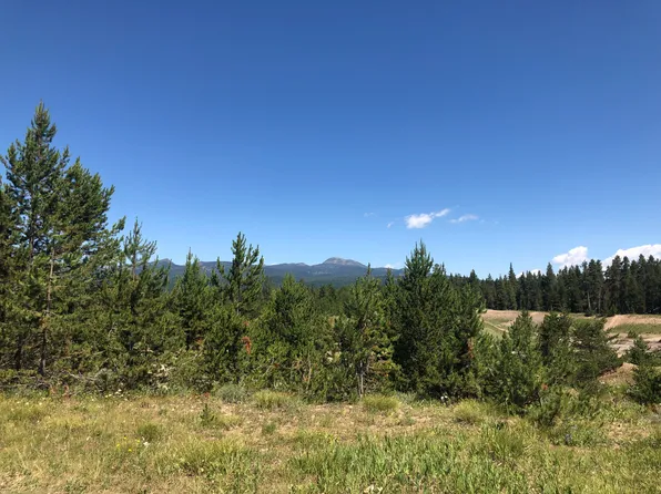 3802 Osprey Ln, Island Park, ID 83429