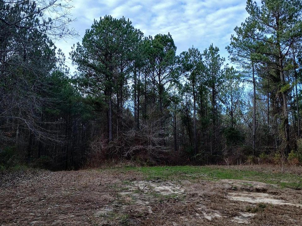 1st image of Dock Gator Rd