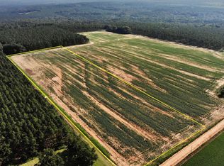 Highbluff Rd, Hartford, AL 36344