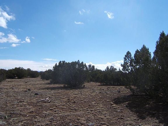 5th image of 8743 Bonito Dr