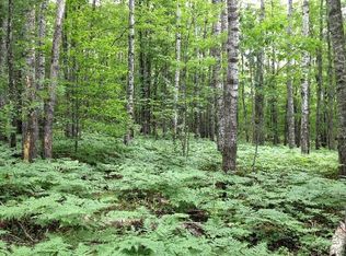 Cedar Run Rd, Fairview, MI 48621