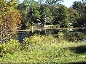 Lake Front