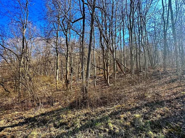 30 Ac DUMPLING RUN ROAD, MOOREFIELD, WV 26836