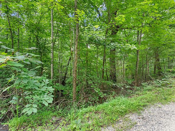 5th image of 0 Wauka Ridge Rd