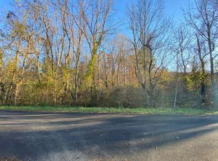 Lone Ash Rd, Barren Springs, VA 24313