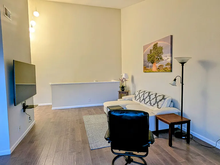 Living room with 65" flat panel TV