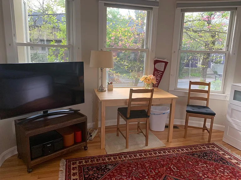 118 Trowbridge St #3 — Photo 9