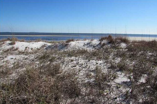 1st image of 2404 Driftwood Point Ln