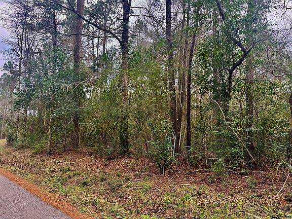 4th image of Eastwood Ave Lot 126