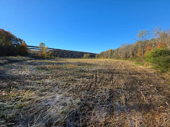 91 Tunnel Rd, Pt Crane, NY 13833