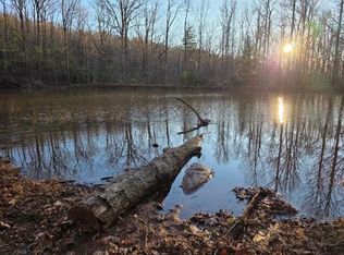 100 Hidden Hollow Ln, Dahlonega, GA 30533