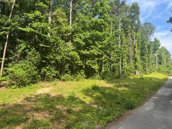 LOT 21 County Road 199, Bremen, AL 35033