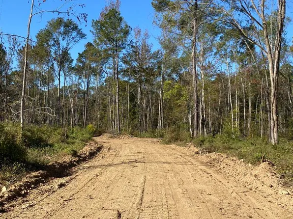 1 Saint Anne Rd, Carthage, MS 39051