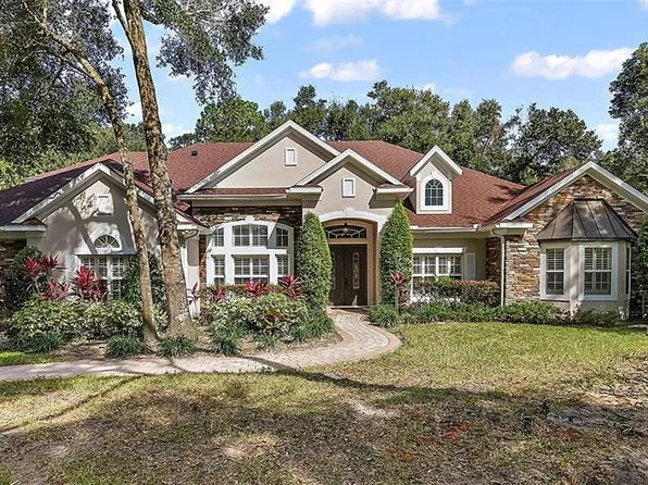 6542 Sinisi Dr, Mount Dora, FL 32757