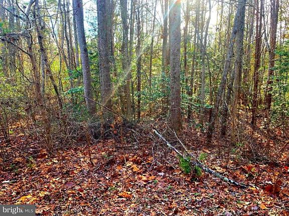 2nd image of 9712 Sutters Rd
