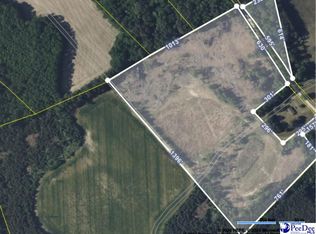 641 Isgett Dr, Darlington, SC 29532