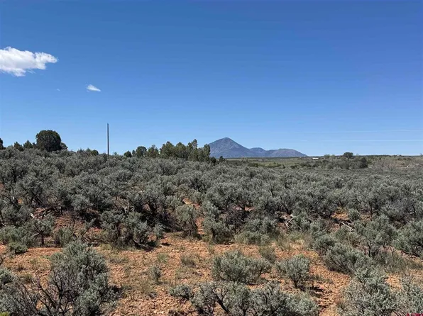 Lot 3A Road 22, Cortez, CO 81321