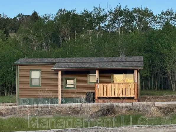 143 Ward Rd Cabin 1, Anaconda, MT 59711