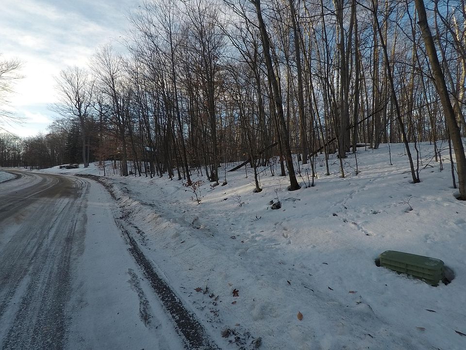 2nd image of Timber Vly