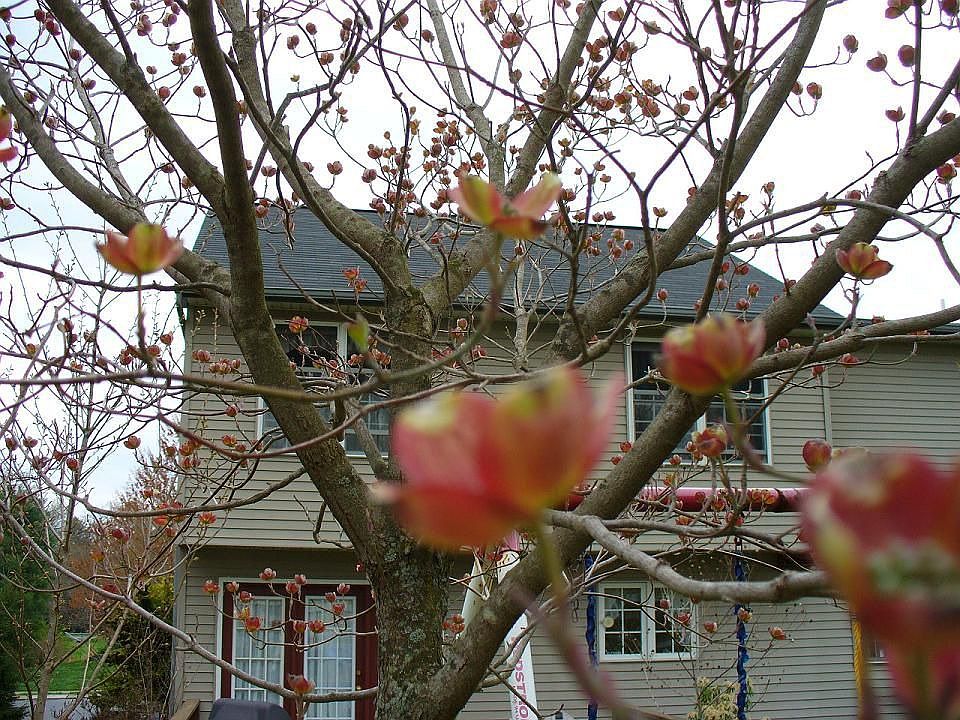 13 Manor Oaks Dr, Millersville, PA 17551 Zillow