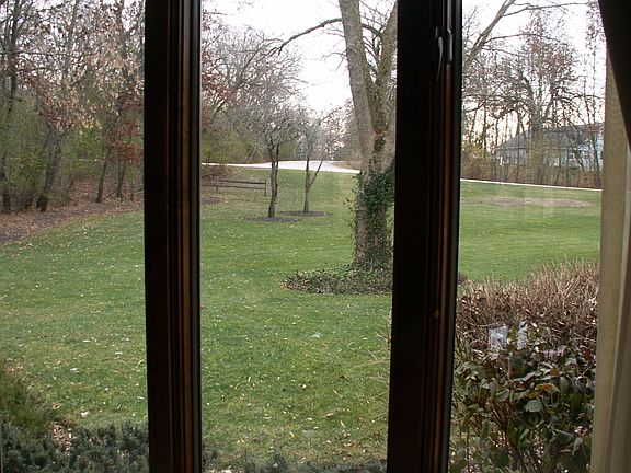 Views from all the windows