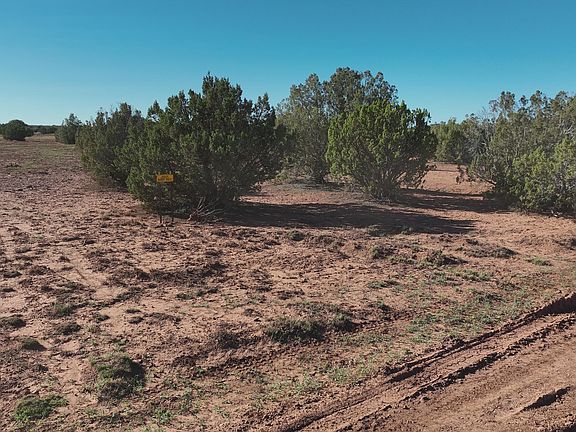 2nd image of 9445 Texas Ln