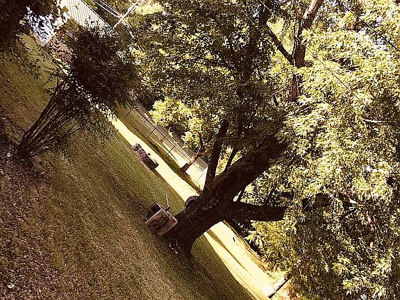 4th image of 3503 Angela Ln
