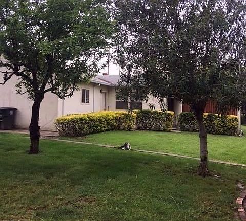 2nd image of 7320 Van Maren Ln