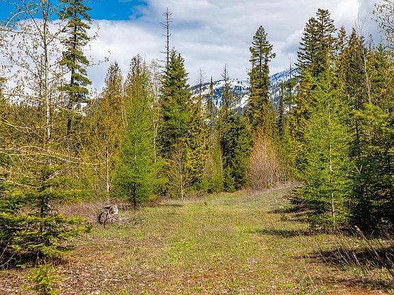 5th image of 201 Woodlandstar Cir Lot 210
