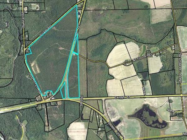 31 Acres Hwy #221, Lakeland, GA 31635