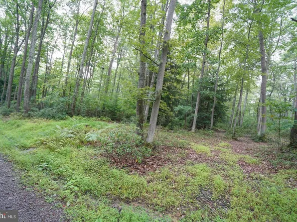 Lots 22 & 23 Black Oak Dr, Oakland, MD 21550