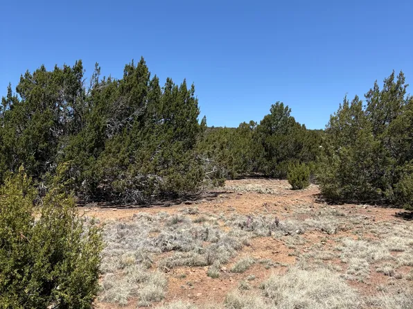 82 County Road 8065, Concho, AZ 85924