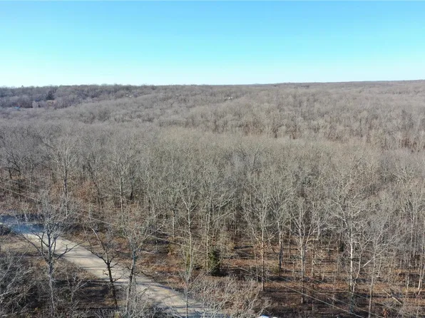 0 Mill Ln, Wappapello, MO 63966