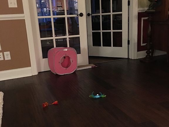 French drs  leading to sunrm