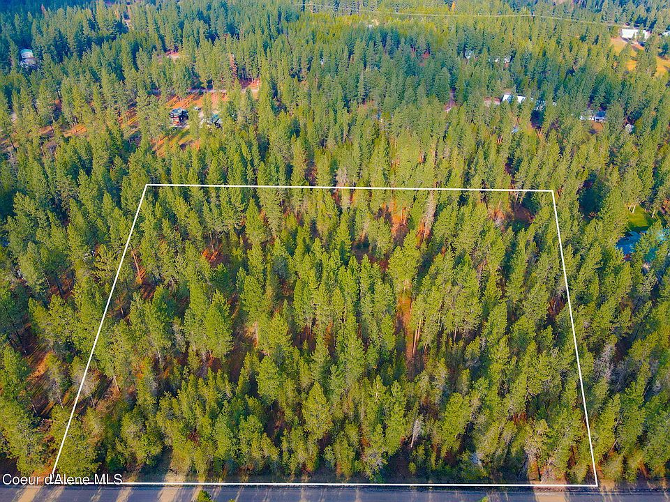 1st image of Nna Blanchard Cutoff