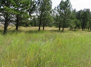 123 Surrey Ln, Custer, SD 57730