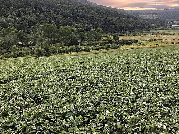 view to the south west