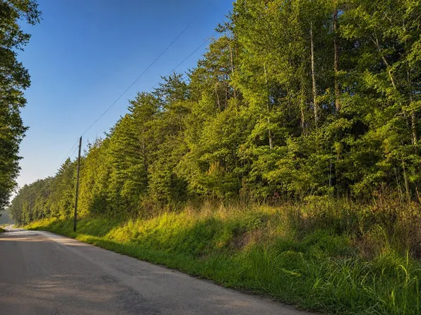 0 Three Point Rd Lot 1, Tellico Plains, TN 37385