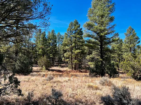 County Road Ranch Rd, Ramah, NM 87321