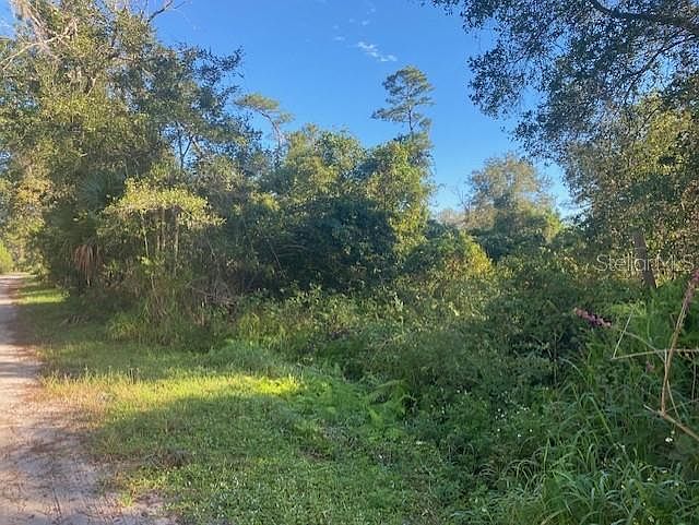 1st image of 915 Juniper Dr