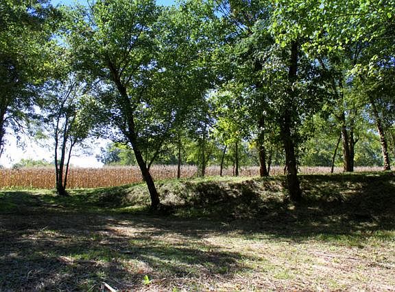 4th image of 438 Buffalo River Hwy