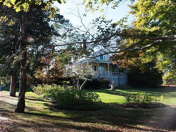 View of the rear of the house. Raspberry bushes in foregroun